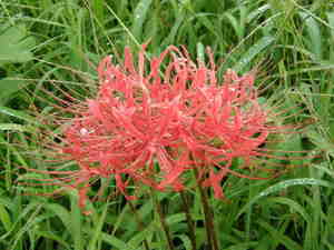 2008.09.06 005.jpg