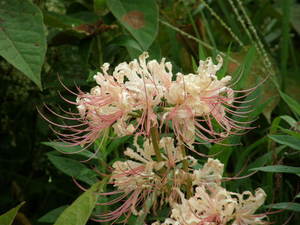 2008.09.06h1.jpg